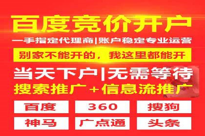 成功案例：SEM竞价代运营助力企业实现持续增长